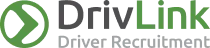 DriveLink